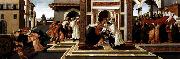 BOTTICELLI, Sandro Last Miracle and the Death of St Zenobius Spain oil painting artist
